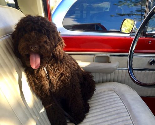 Katie Cruisin